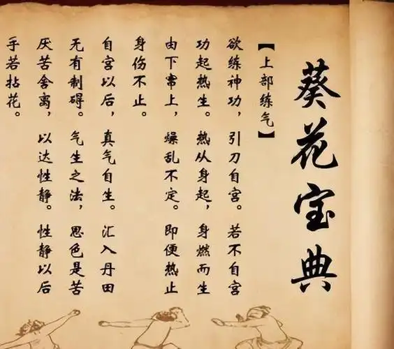 笑傲江湖中共有4人修炼葵花宝典为何只有一人练对了