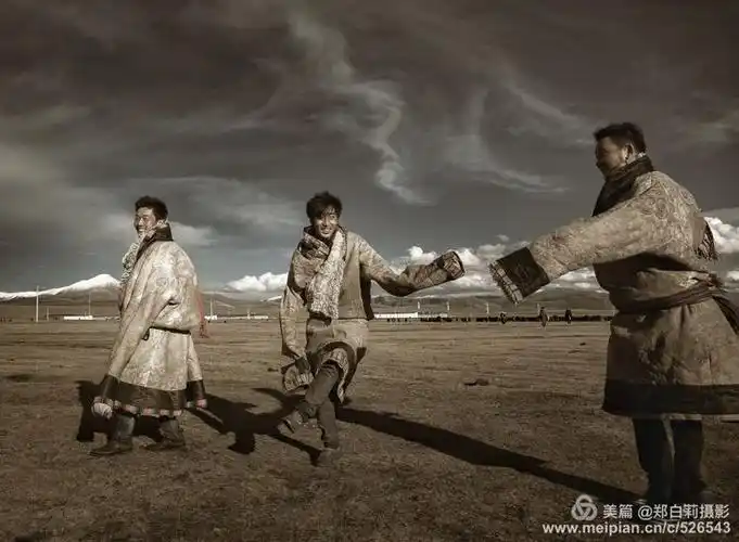 雪域之子,高原雄鹰