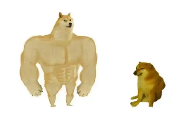 全世界最知名的狗子去世,它留下的可不只是表情包|柴犬|狗狗|狗头