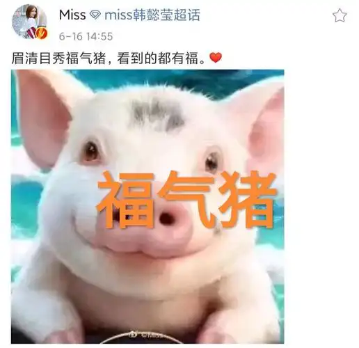 miss发自拍照引热议喜庆的表情粉丝调侃福气猪就是你