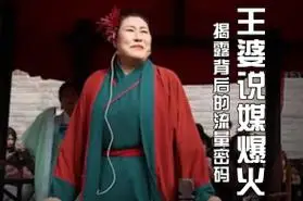 被誉为"当代月老",盘点"王婆说媒"背后的流量真相