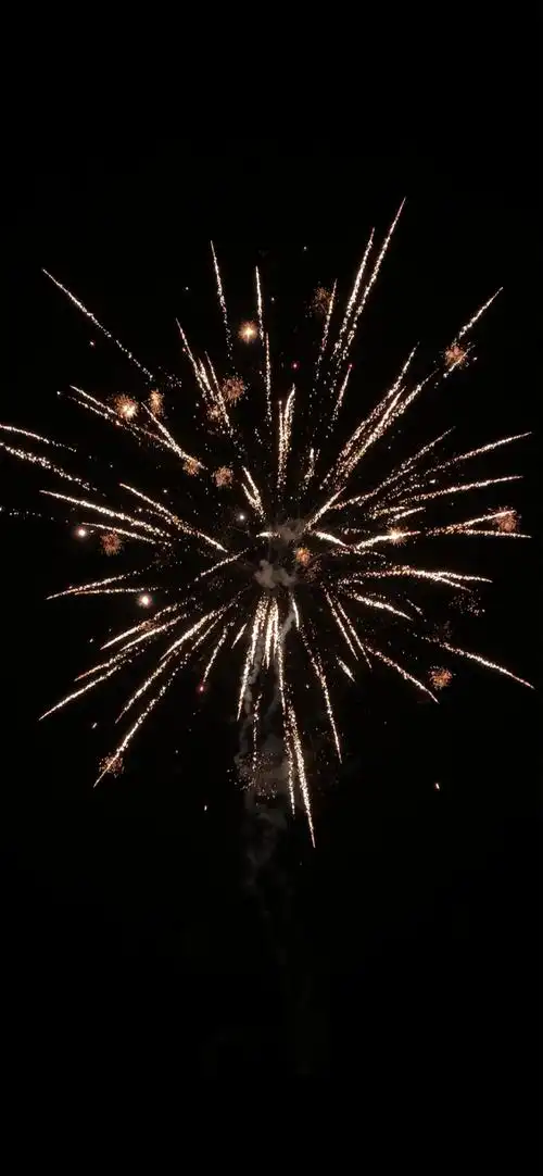 2021除夕夜浪漫烟花