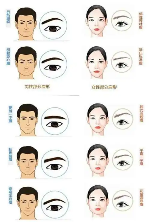 面相识人术:柳叶眉,这眉形就是弯曲的幅度相当大