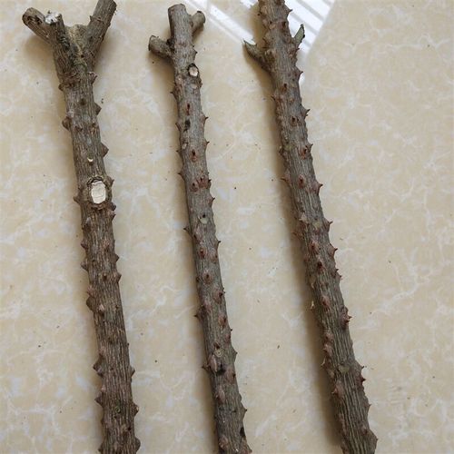 花椒木拐杖 花椒木是老人做拐杖年轻人做玩具木材本店可按照你需l 2