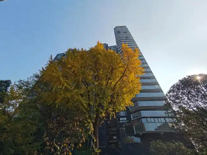 成都房产网>成都二手房>武侯二手房>桐梓林二手房>首座>