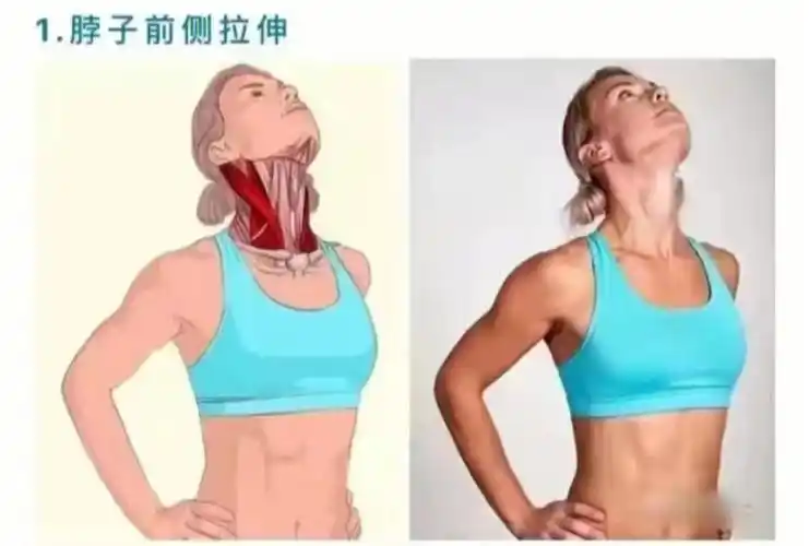 肩颈拉伸