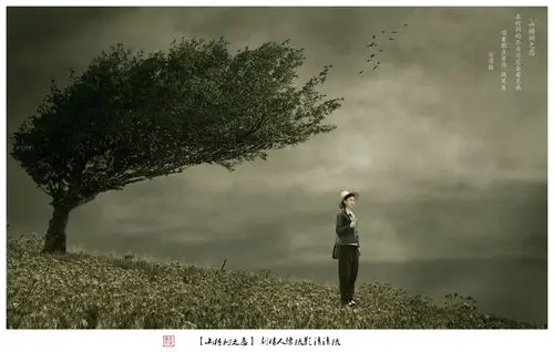 山楂树之恋影诗