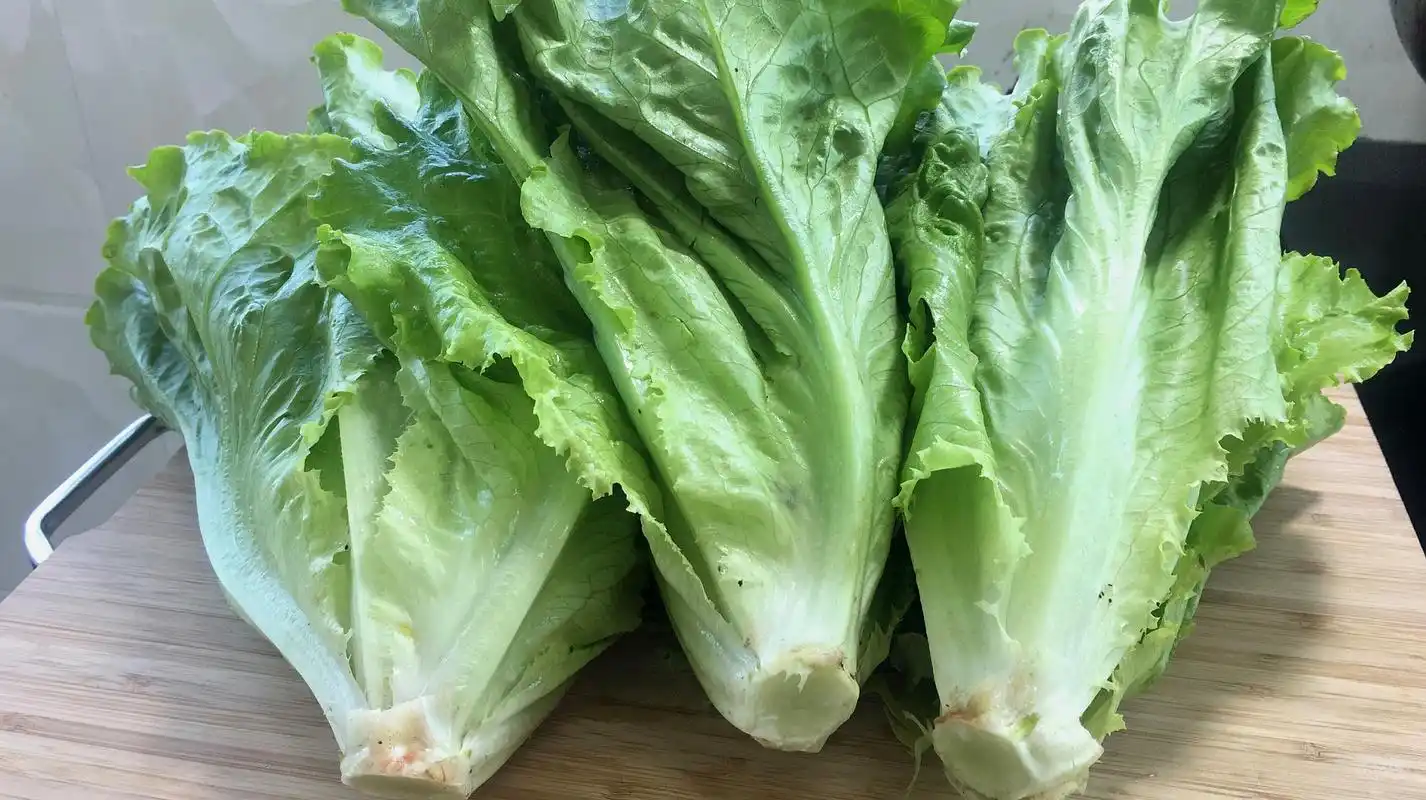 超好吃的生菜美食,吃一次就忘不掉