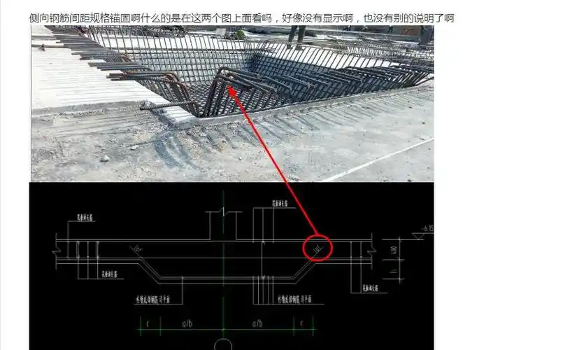 柱墩侧面钢筋图纸上看不出来啊