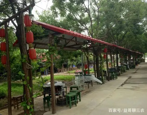 这是一个农家大院,里面有菜园子,还有餐桌,这个农家大院装饰成了农家