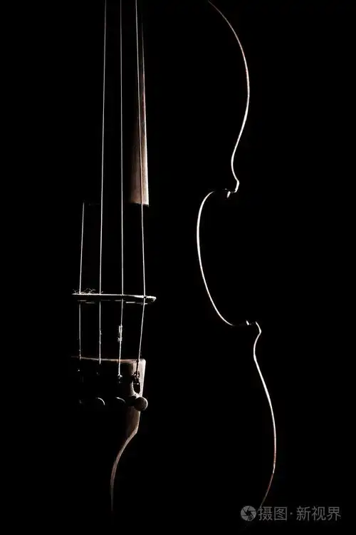小提琴特写乐器