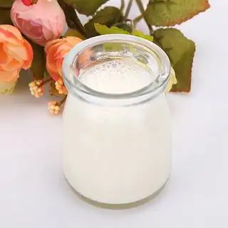 globemilk 荷高 部分脱脂牛奶 1l