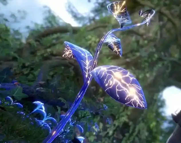 本以为蓝银草中的"王者"是蓝银皇,看到这一棵,阿银不淡定了