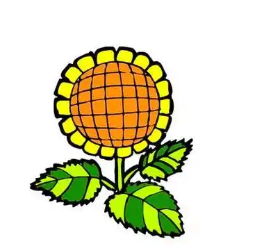 向日葵简笔画彩色 一片向日葵简笔画彩色