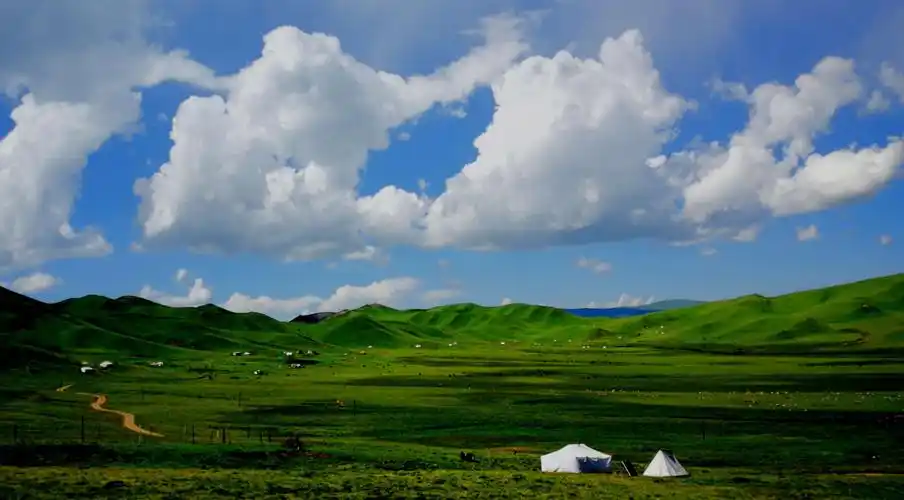 高原草原印象……甘南风光欣赏