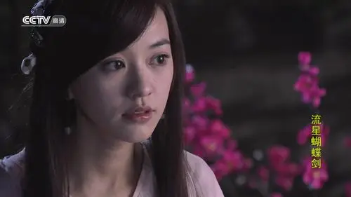 展开全部 陈意涵,《流星蝴蝶剑》饰演孙碟