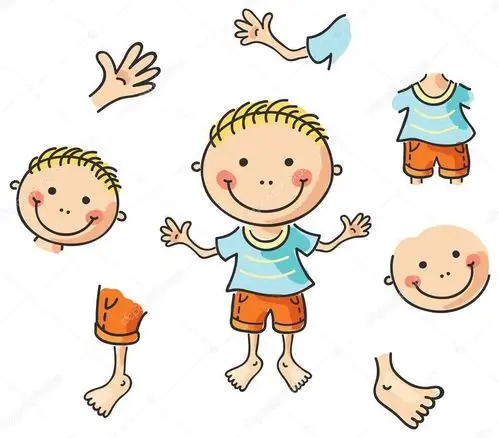 在做健康操的时候,我们用到了身体的什么部位呢?