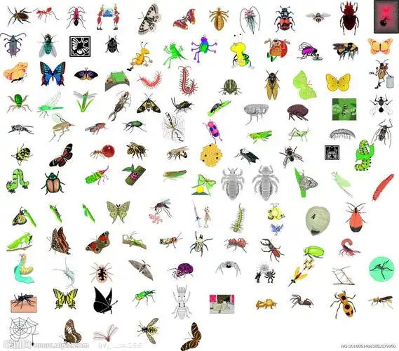 昆虫大全图片
