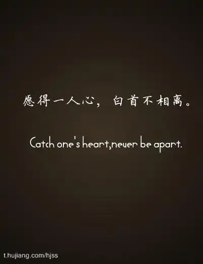 愿得一人心,白首不相离