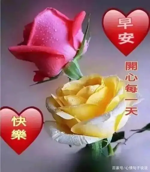 8张最新创意好看的朋友圈早安问候祝福图片精选