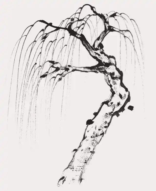 山水画中常见的松树,柏树,柳树,杂树的画法