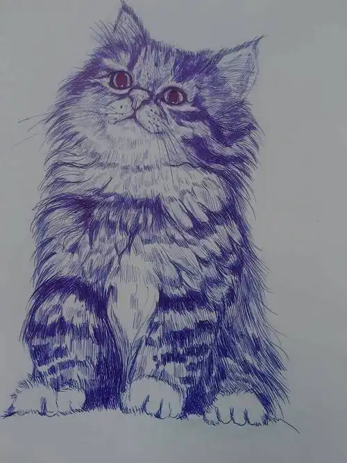 圆珠笔猫咪绘画教程