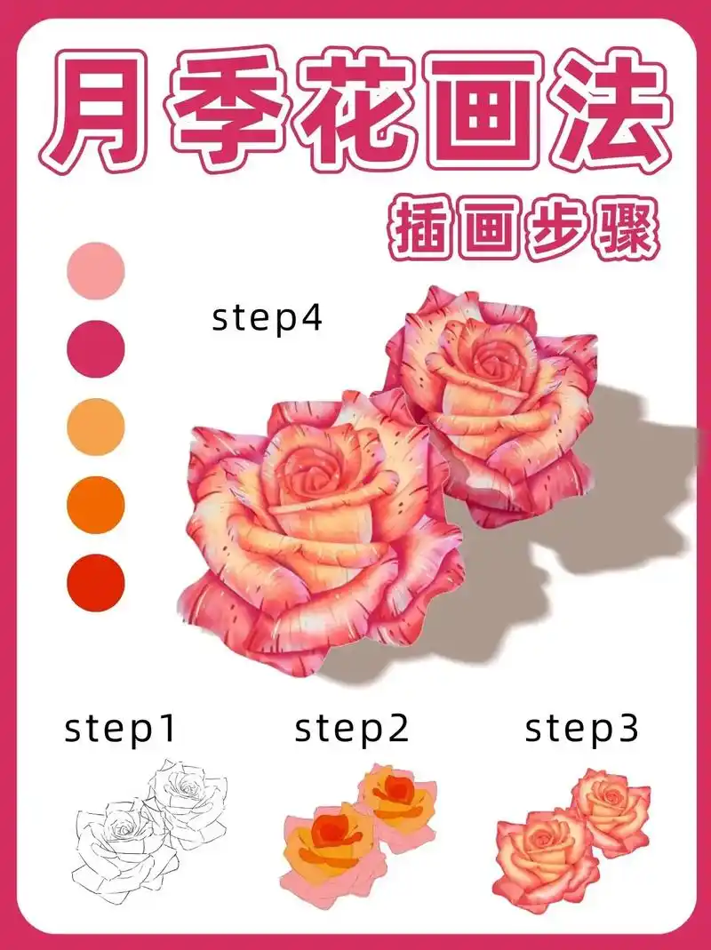 月季花 插画画法.新手插画教程 #procreate绘画 # - 抖音