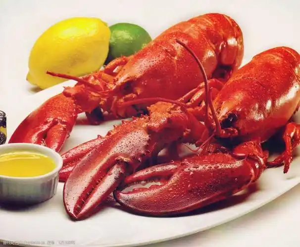 唯美小龙虾图片