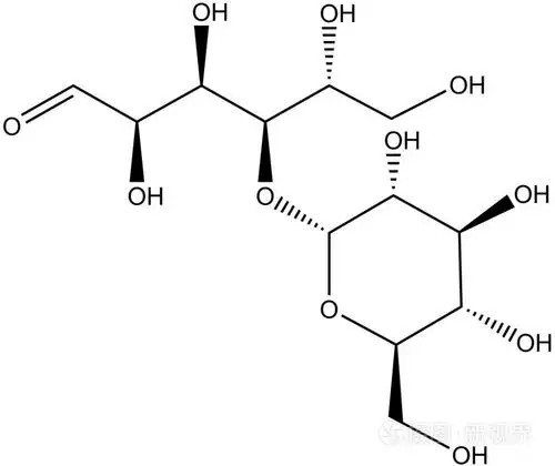 分子结构的麦芽糖