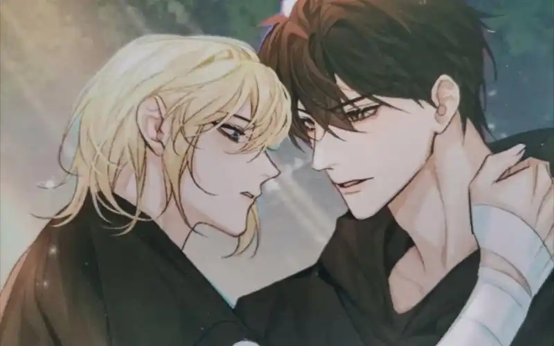 人鱼陷落明信片展示