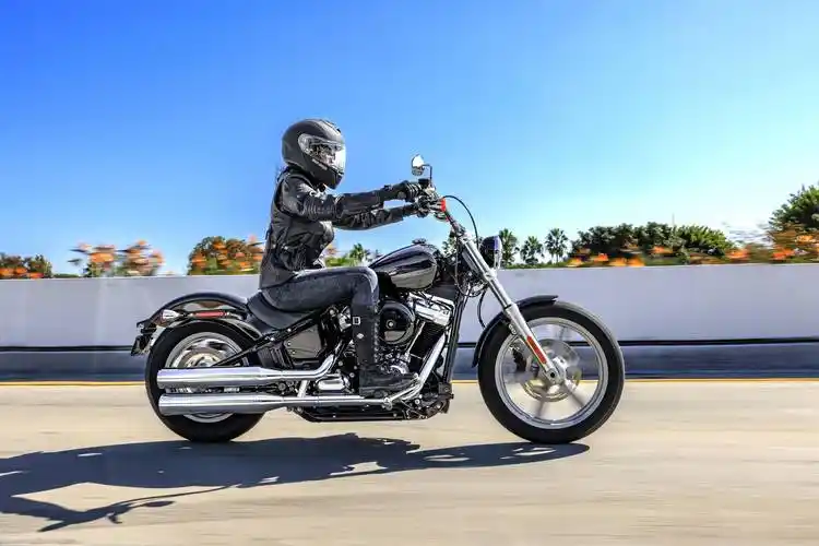 哈雷 2022 新图案巡航车/太子车系列