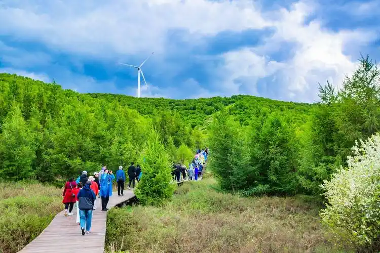 丰宁坝上七彩森林,环境优美,享16℃的清凉,是夏季休闲的好去处_草原