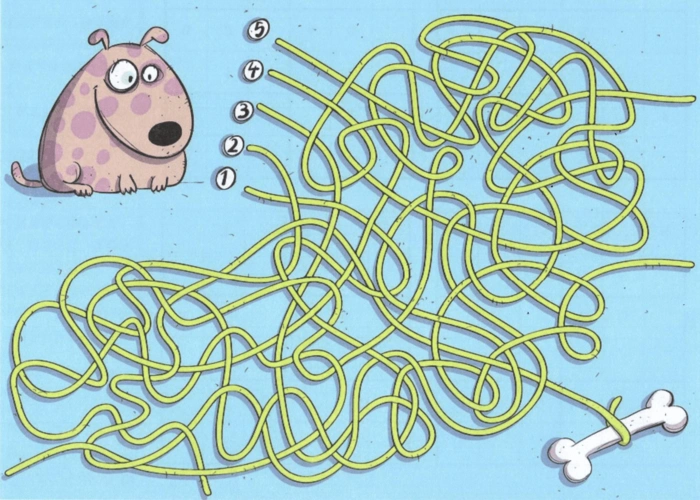 目视追踪训练3 -注意力训练