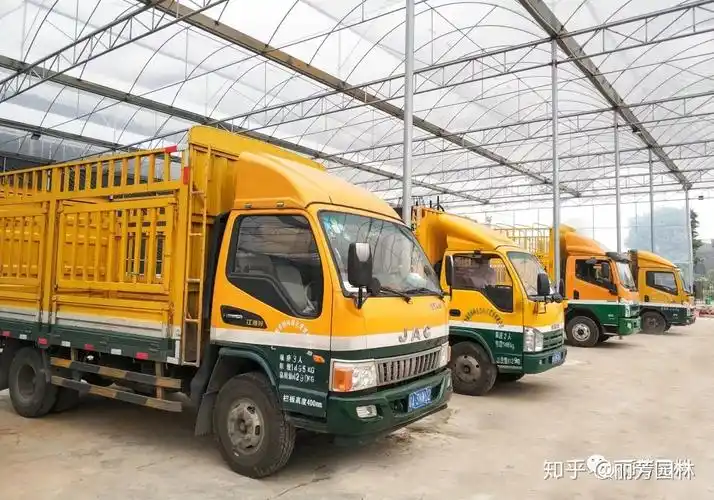 丽芳园林供应链集采平台成熟助力绿植配送提速