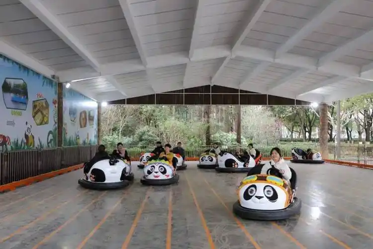 碰碰车_项目_海盗船