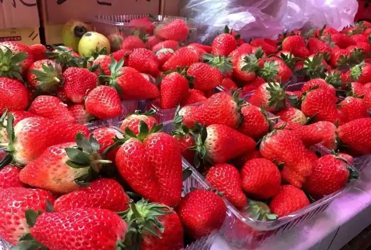 菏泽人注意!这种水果大量上市!很多人在传,千万别被骗了