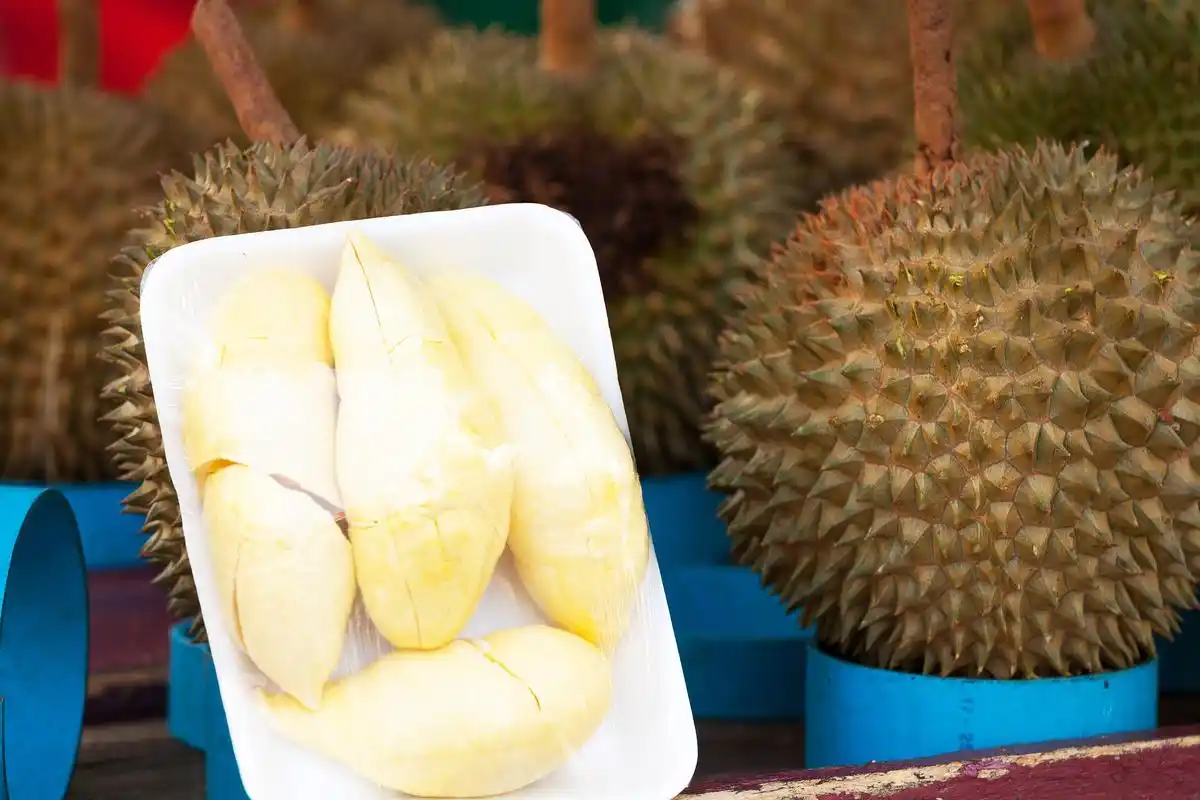 泰国青尼榴莲进口报关所需资料,清关流程介绍「清关手续」