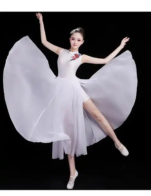 古典舞服装演出服女古典舞演出服女飘逸中国风仙女扇子舞蹈服装现代