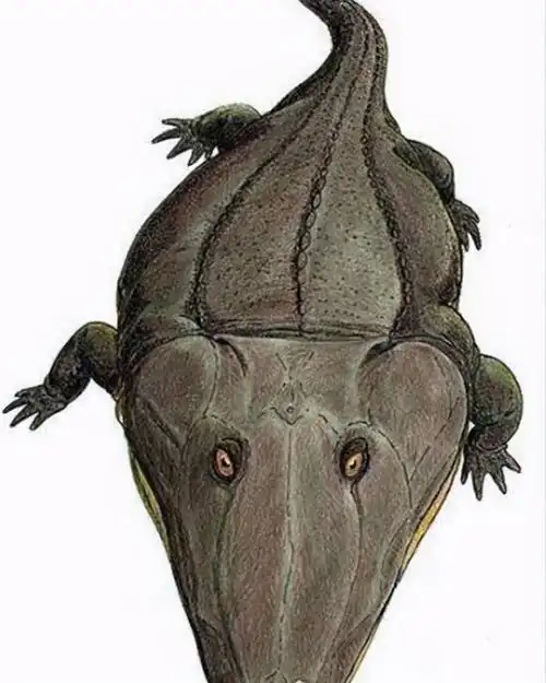 远古生物最强十大排名(史前动物界中最凶猛的10大霸主)