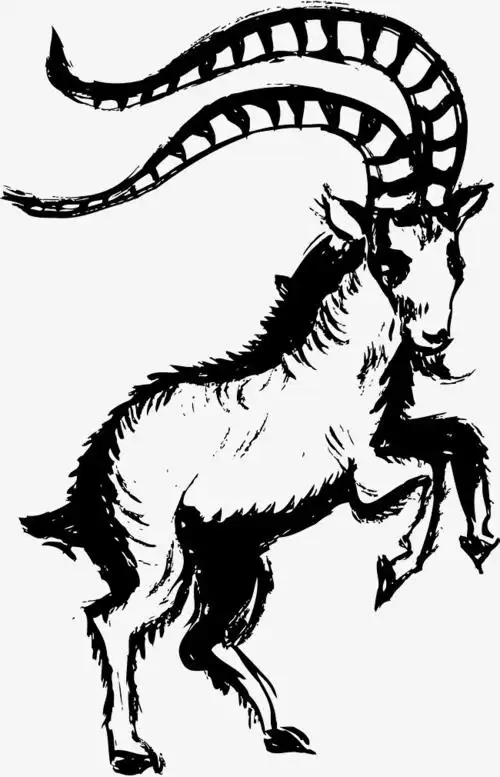 素描黑色山羊