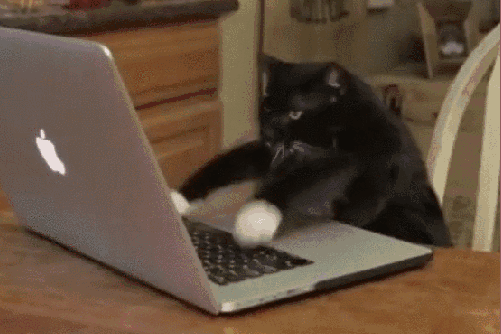 501_334gif 动态图 动图