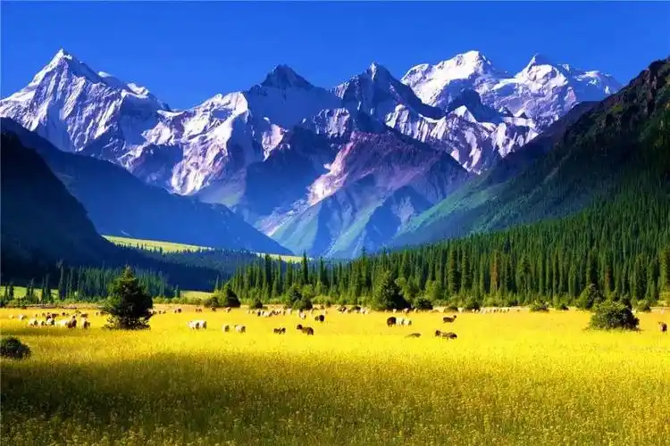 天山往事——初识天山