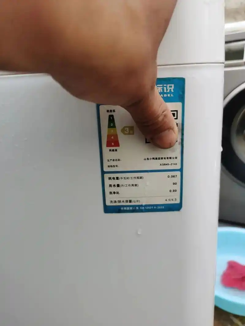 小鸭牌全自动波轮洗衣机8.8成新.#上热门  全自动波轮洗衣 - 抖音