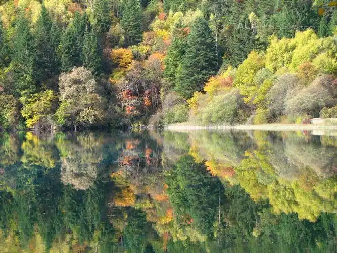 会员登录可下载 1024 无水印图片