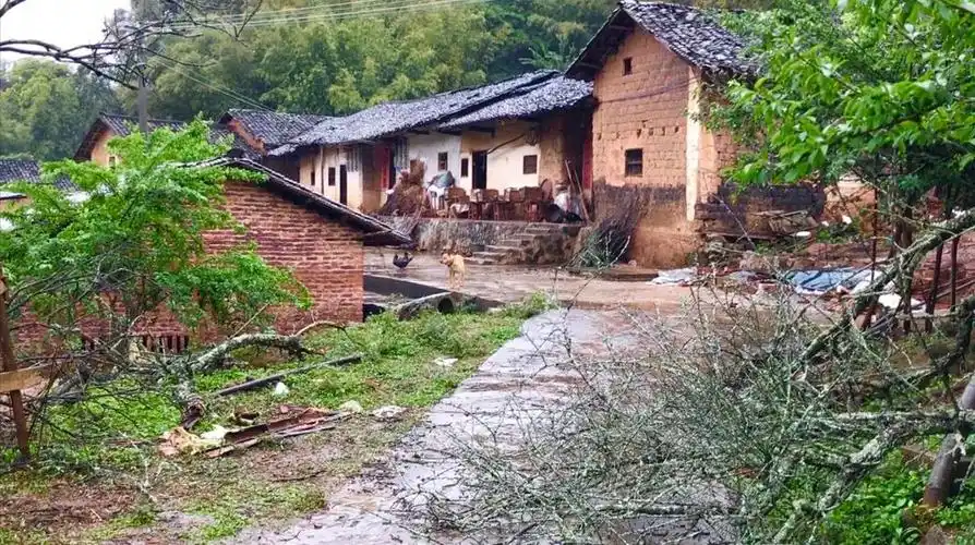 广东肇庆:农村偏远山区地头小学校!