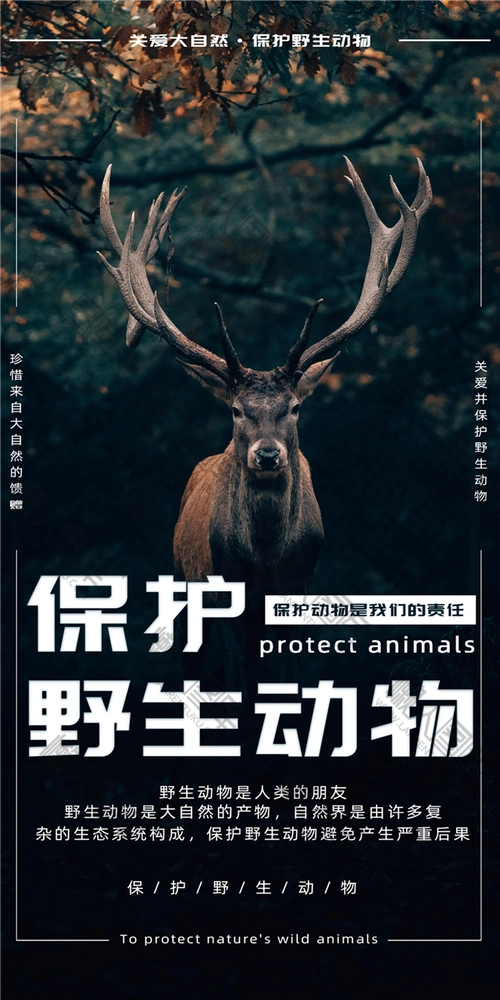 保护野生动物手绘海报图片-保护动物公益海报设计素材_懒人图库