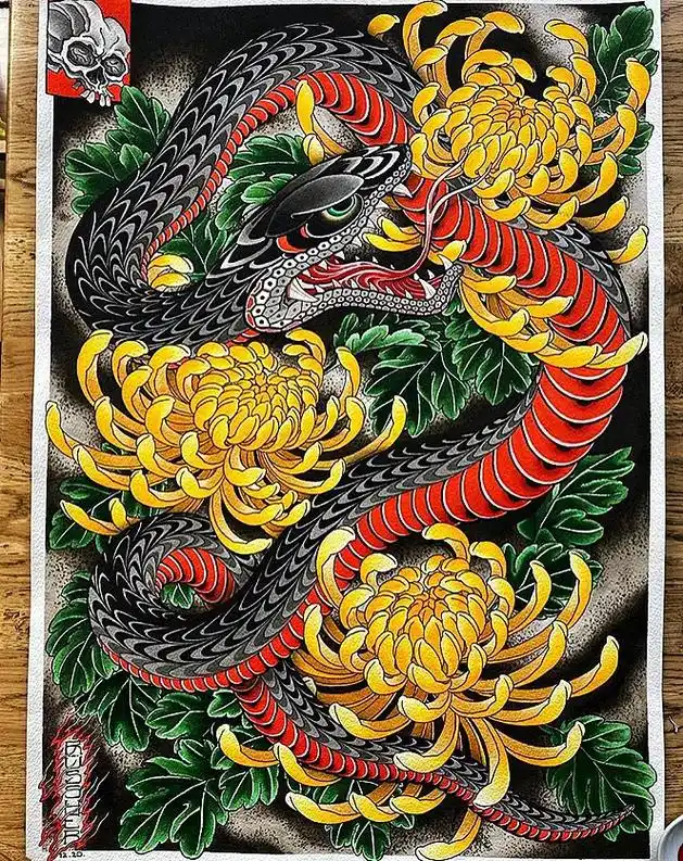 老传统蛇菊花纹身手稿! #老传统纹身 #花臂 #花腿 #蛇纹 - 抖音