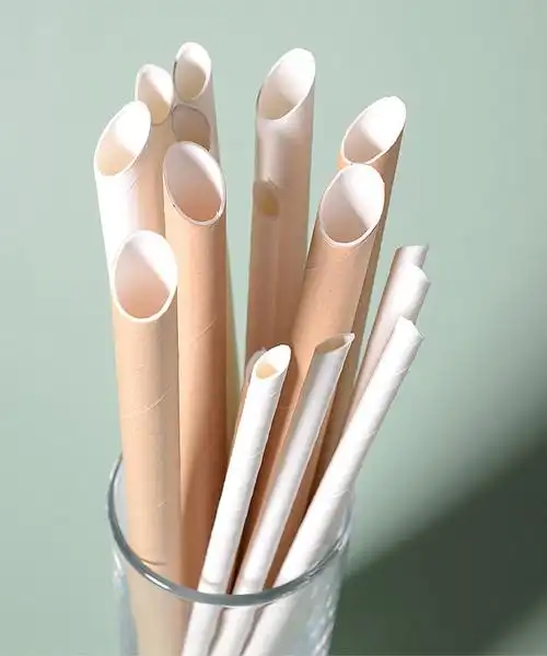 一次性环保纸质奶茶吸管独立包装可降解珍珠奶茶网红大吸管 12x230本