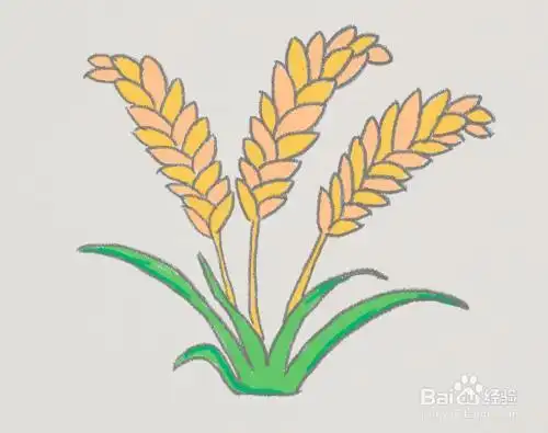 简笔画稻谷麦穗简笔画的画法步骤教程及图片大全查找更多 稻穗简笔画