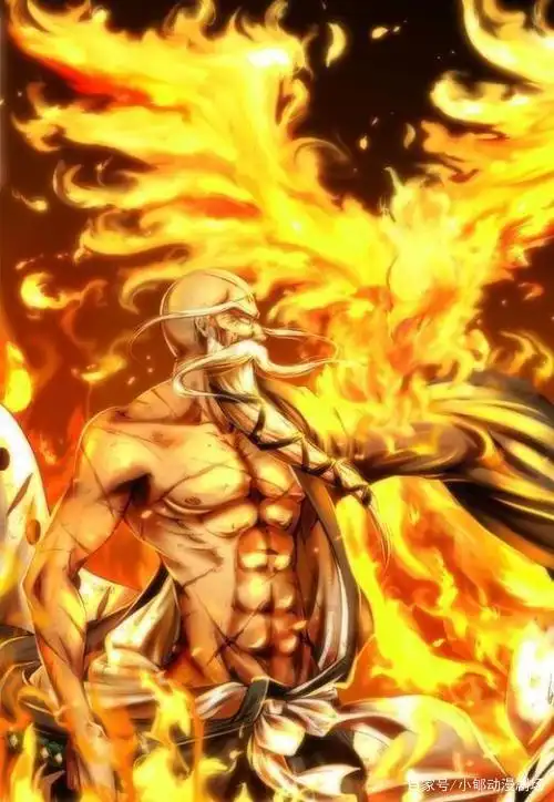 短评死神之最古老的火系斩魄刀流刃若火